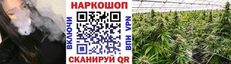 МЕФ Родники