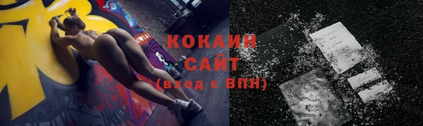 прущие грибы Кукмор