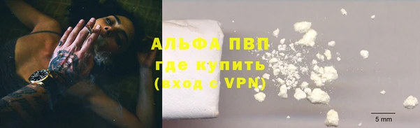 прущие грибы Кукмор