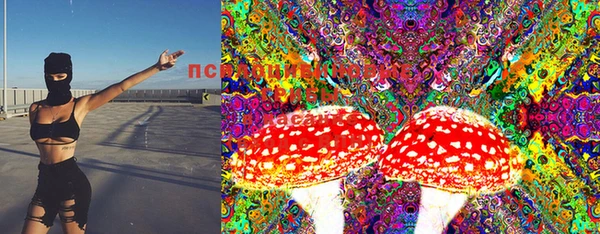 прущие грибы Кукмор