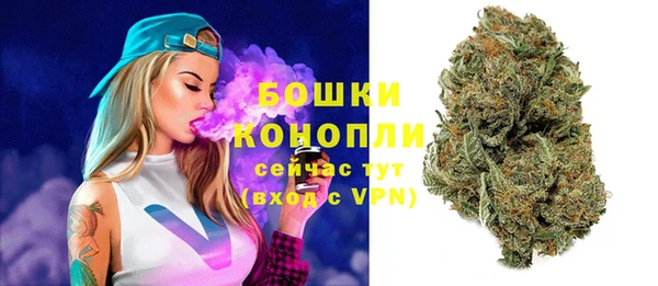 прущие грибы Кукмор
