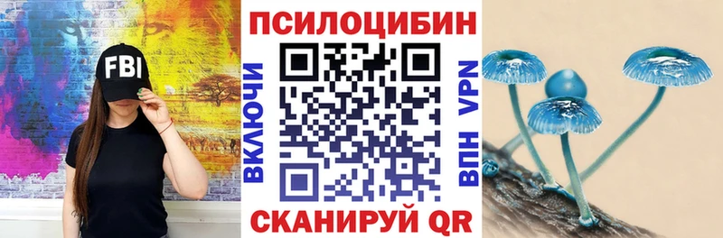 Галлюциногенные грибы мицелий Родники