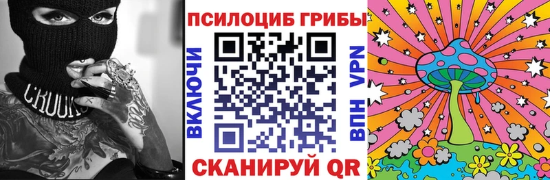 Купить  Родники  Галлюциногенные грибы прущие грибы 